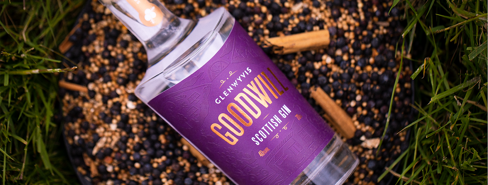 GlenWyvis Distillery