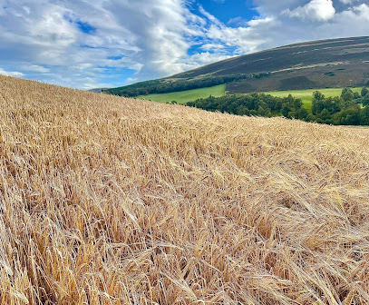 The Cabrach Distillery