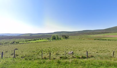 The lost Black Middens Distillery